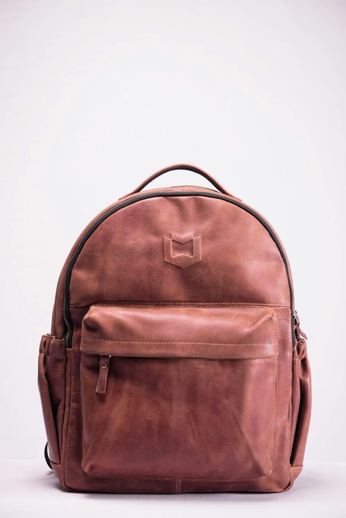Minimalist Leather Backpack
